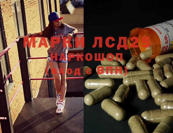 ПСИЛОЦИБИНОВЫЕ ГРИБЫ Абинск