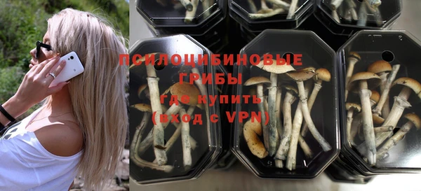 ПСИЛОЦИБИНОВЫЕ ГРИБЫ Абинск