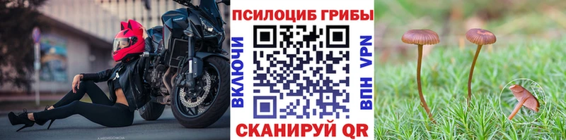 Галлюциногенные грибы Cubensis Микунь