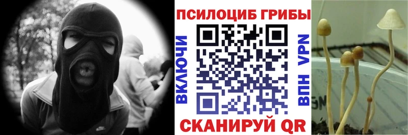 Псилоцибиновые грибы мицелий Микунь